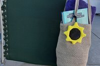 Sunflower attached to beach bag on beach chair.