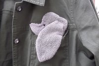 Smudge Dog peeking out of a pocket of a jean jacket.