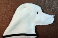 The back of the Australian Shepherd is a solid white color