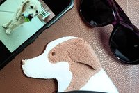 Showing scale of Smudge Dog with two of the many items it can clean and polish: smart phone and eye glasses.
