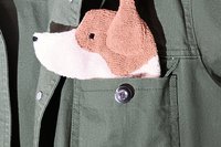 Red Heeler shown peeking out of a jean jacket pocket
