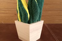 Deluxe Smudge Plant in Wooden Pot, Multipurpose Microfiber Cleaning Cloth