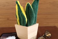 Deluxe Smudge Plant in Wooden Pot, Multipurpose Microfiber Cleaning Cloth