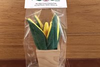 Deluxe Smudge Plant in Wooden Pot, Multipurpose Microfiber Cleaning Cloth