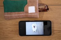 Baseball Themed Microfiber Glasses/Cellphone Case, Cleaner and Case in One!