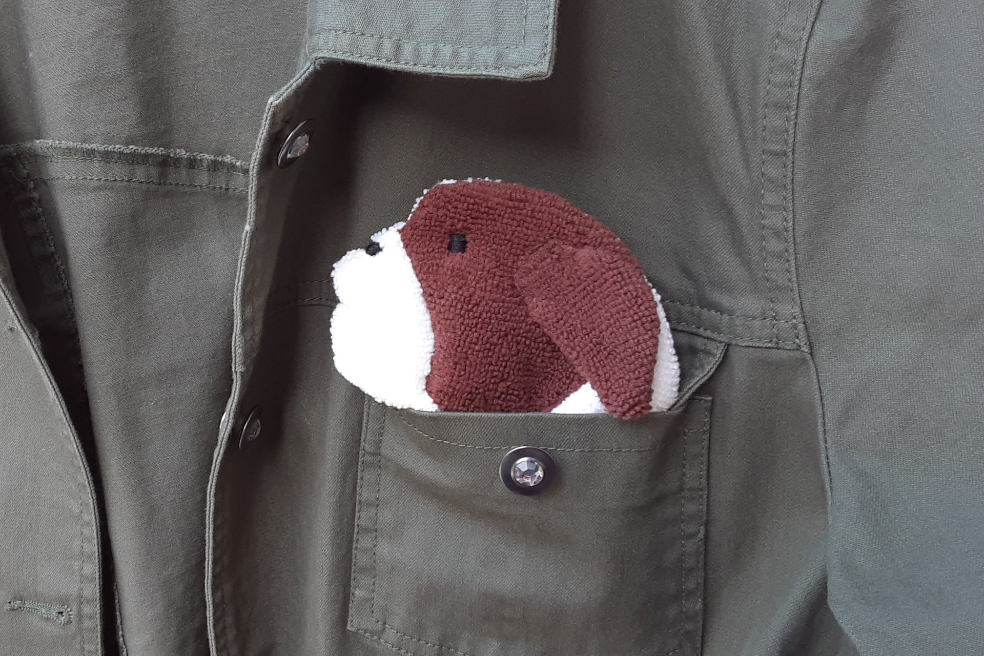Smudge Dog peeking out of a pocket of a jean jacket.