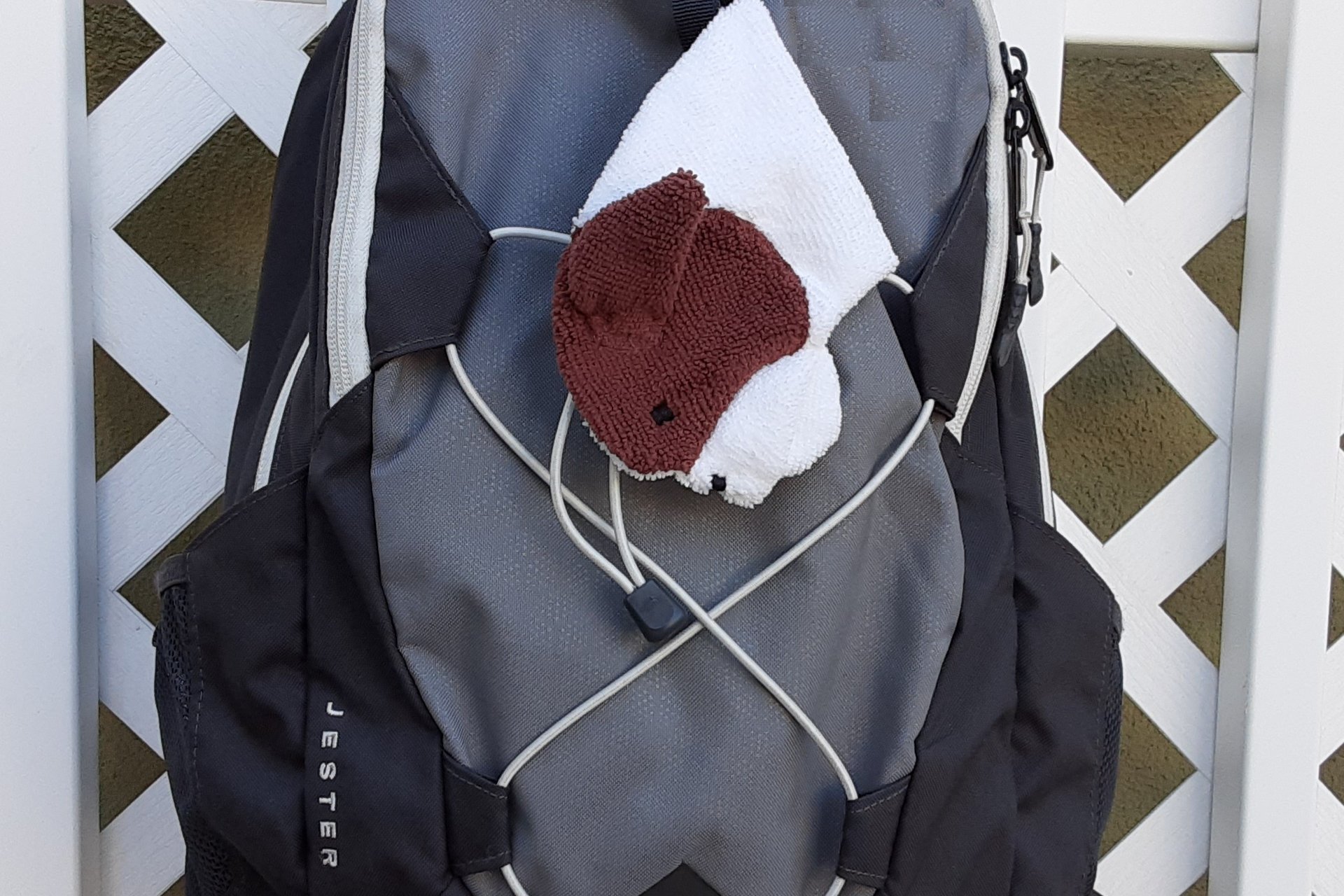 Smudge dog attached to a backpack