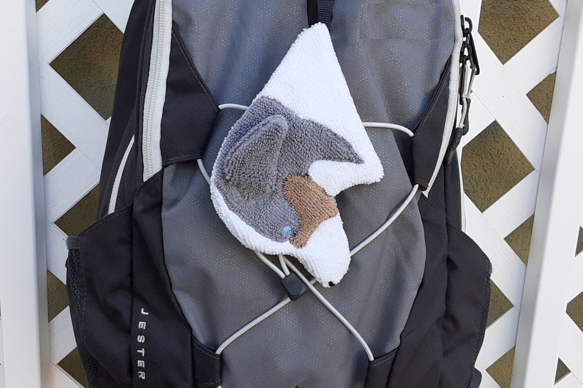 Smudge Dog attached to backpack.