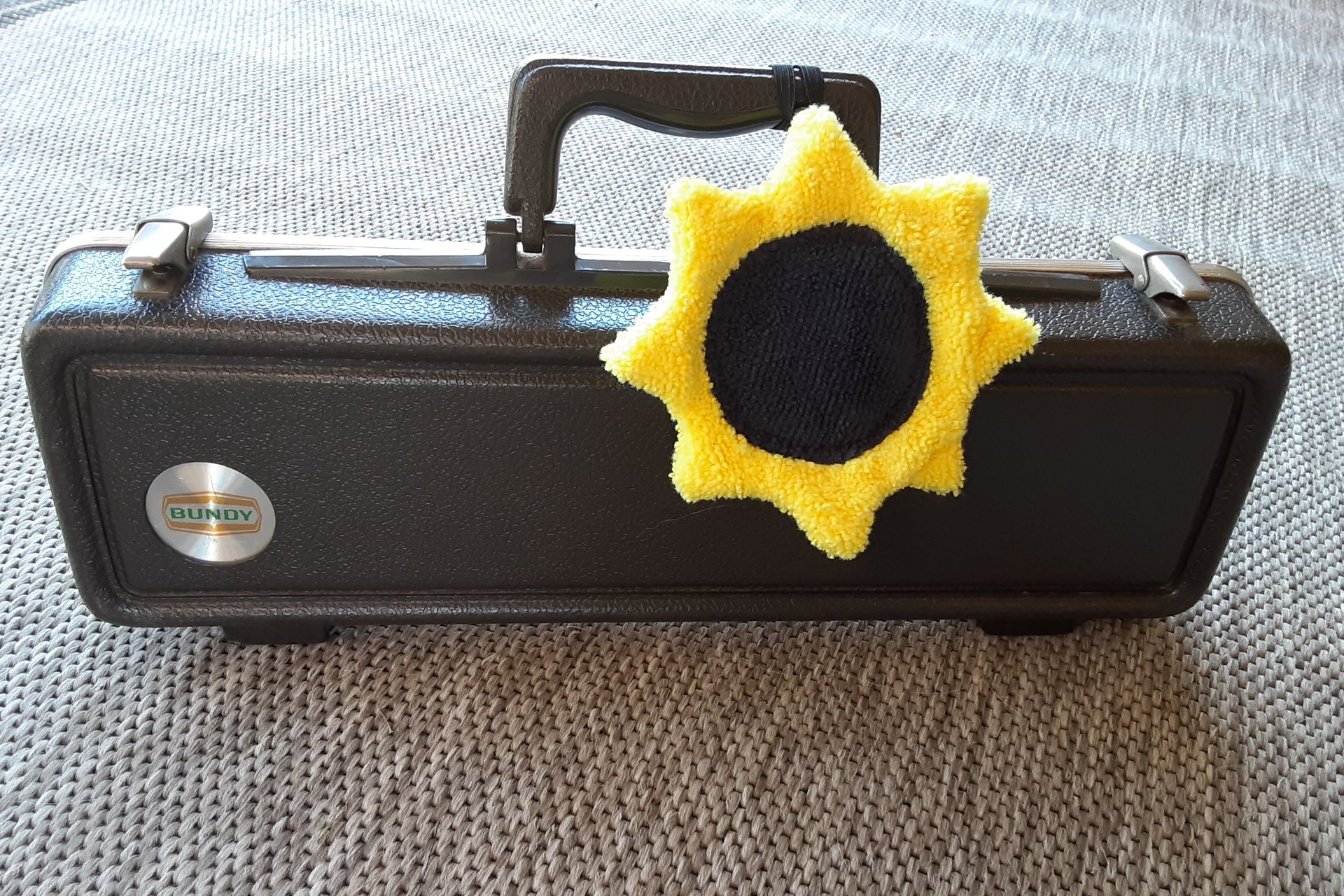Sunflower attached to musical instrument case.