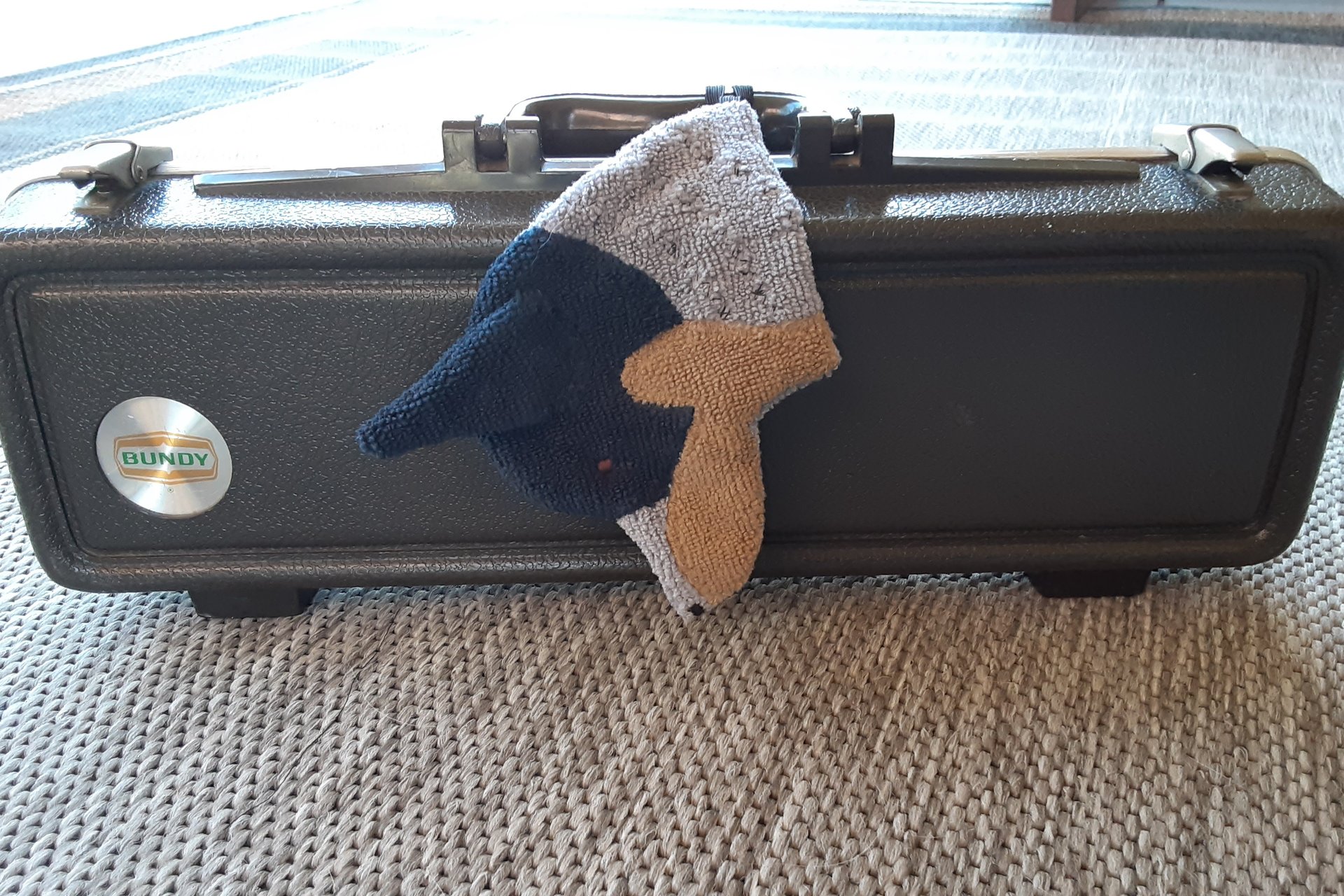 Australian Cattle Dog attached to a musical instrument case.