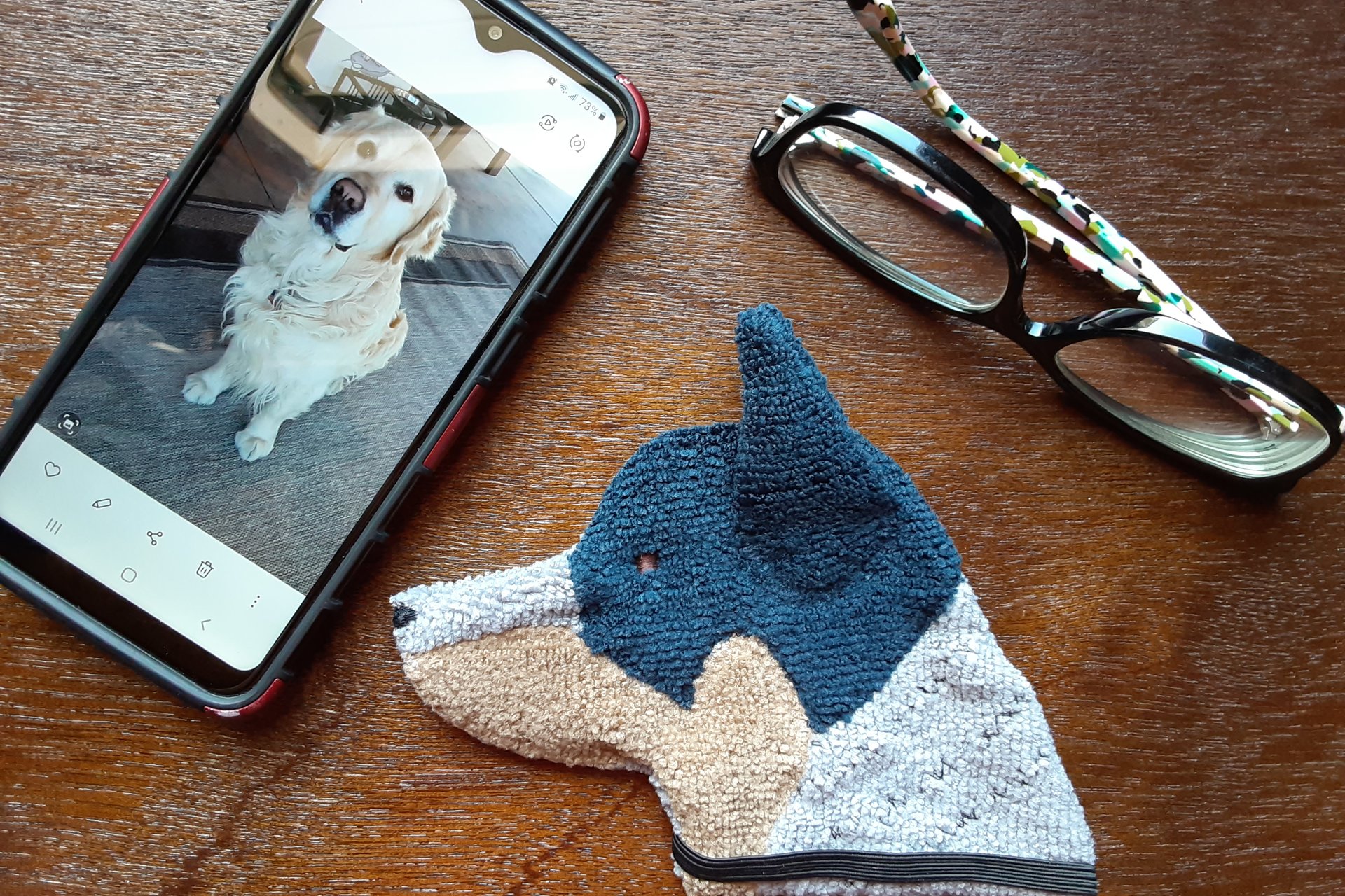 Australian Cattle dog with phone and glasses. Two of the items it can clean