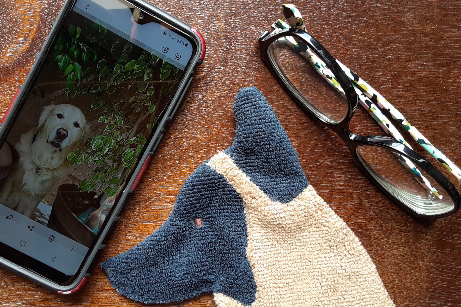 Smudge Dog with phone and glasses. Two of the items it can clean