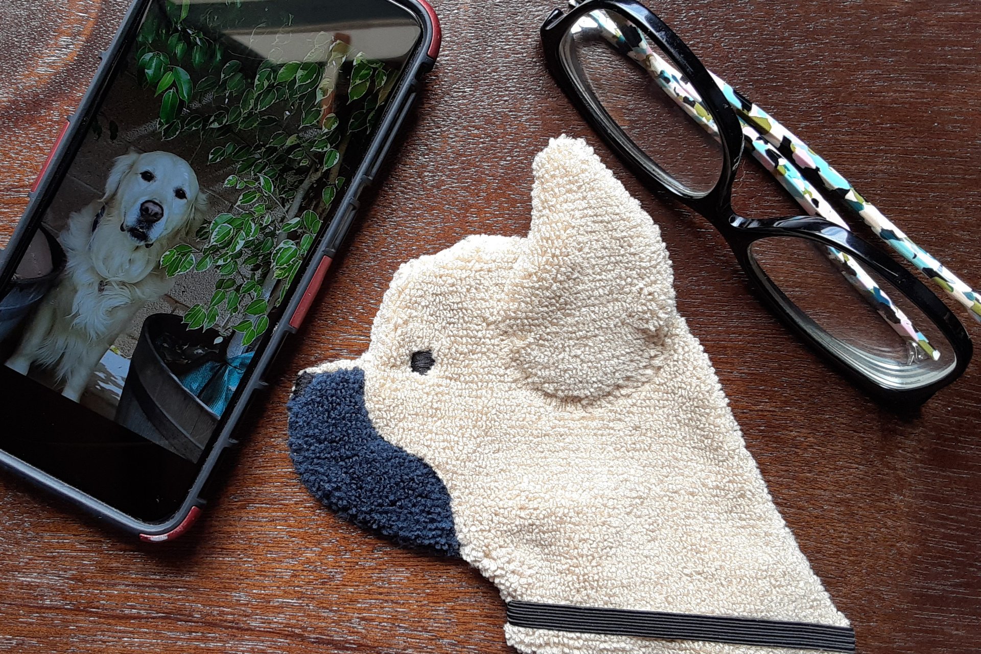 Frenchie shown with glasses and phone. Two of the items it can clean.