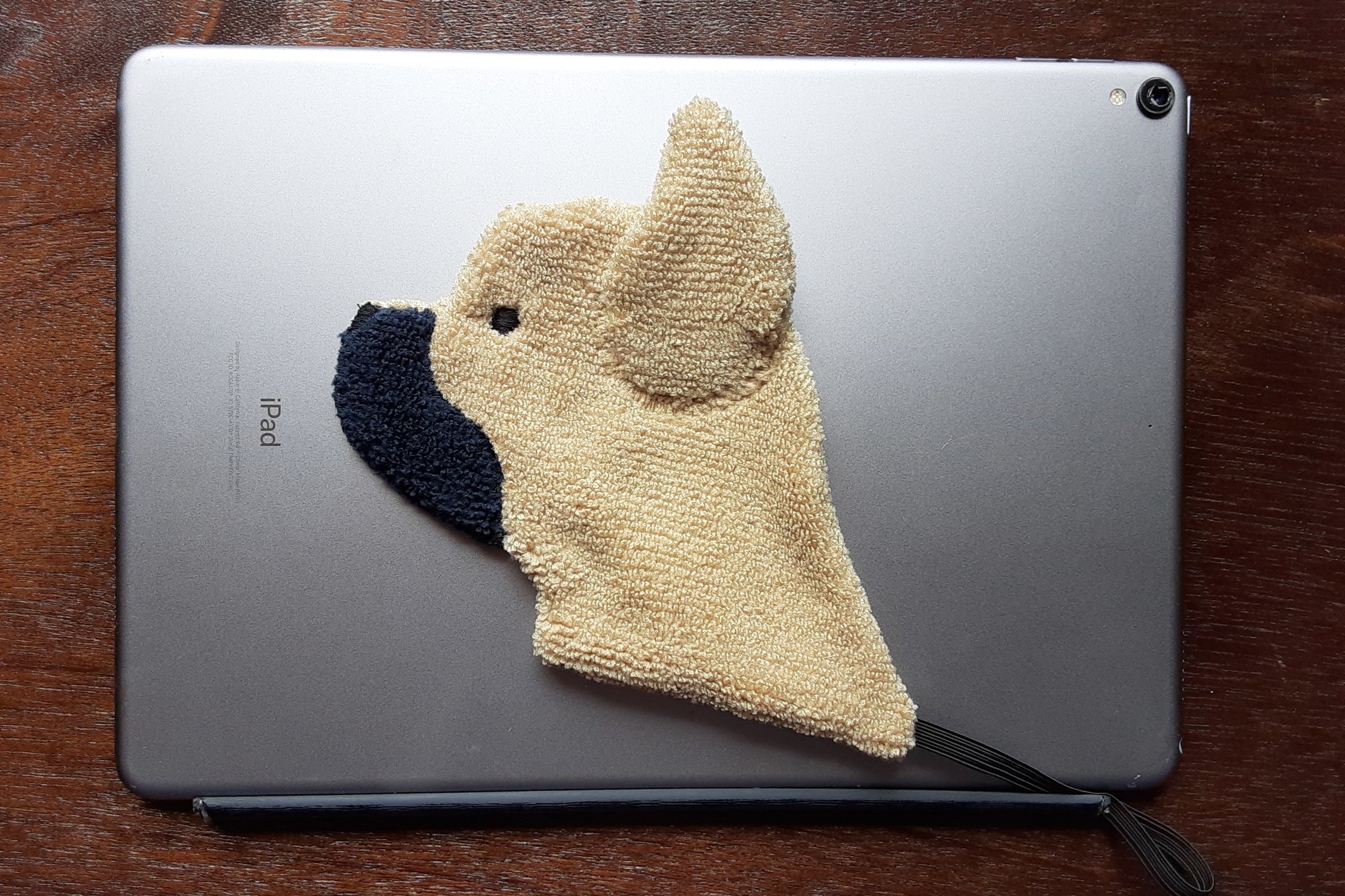 Frenchie slipped throught a magnetic cover of a popular tablet.