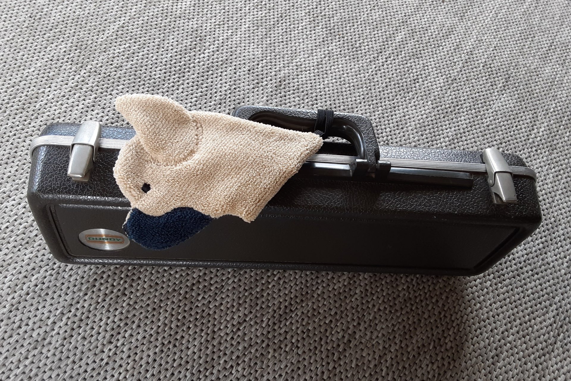 Frenchie shown attached to a musical instrument case.