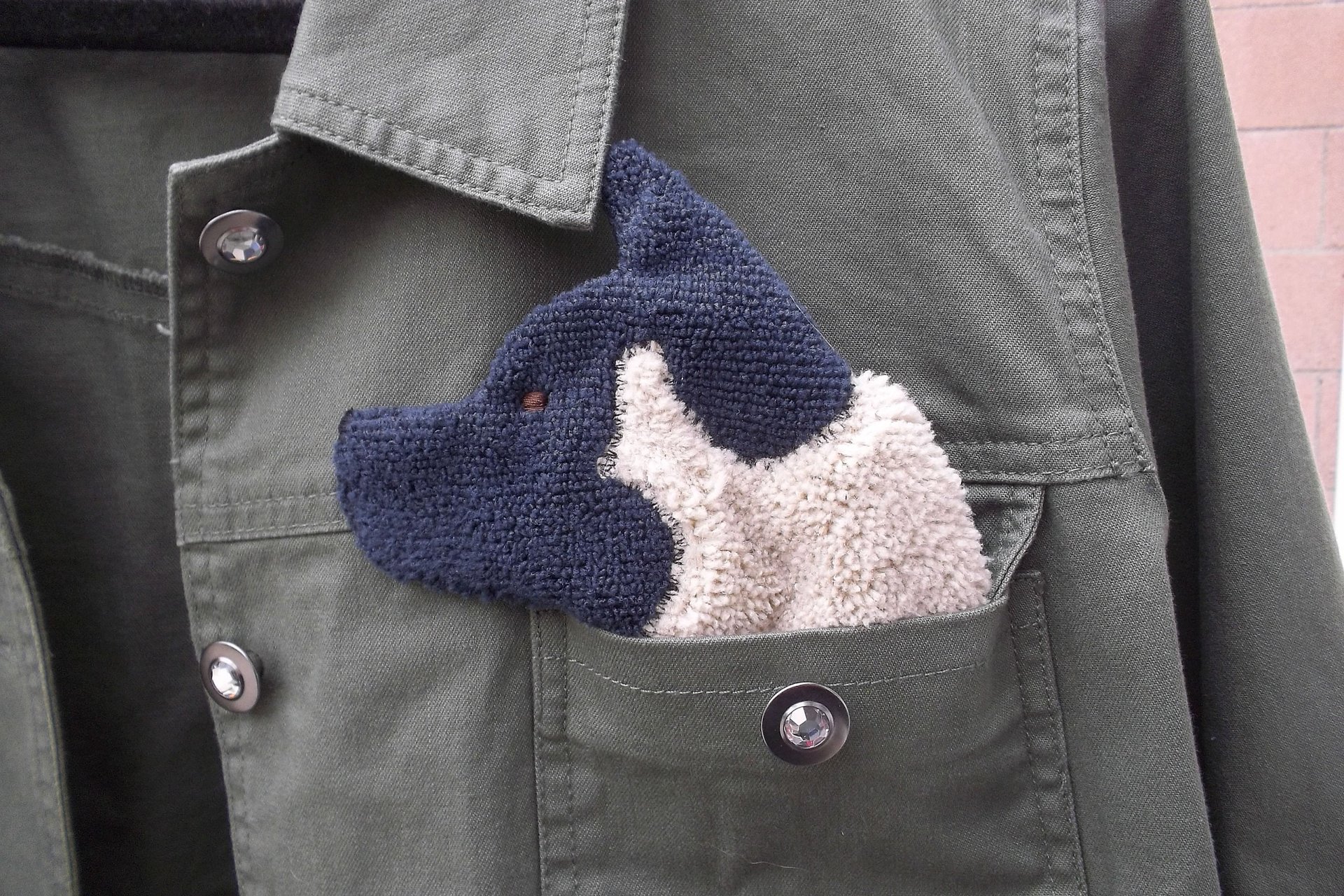 Smudge Dog shown peeking out of a jean jacket.