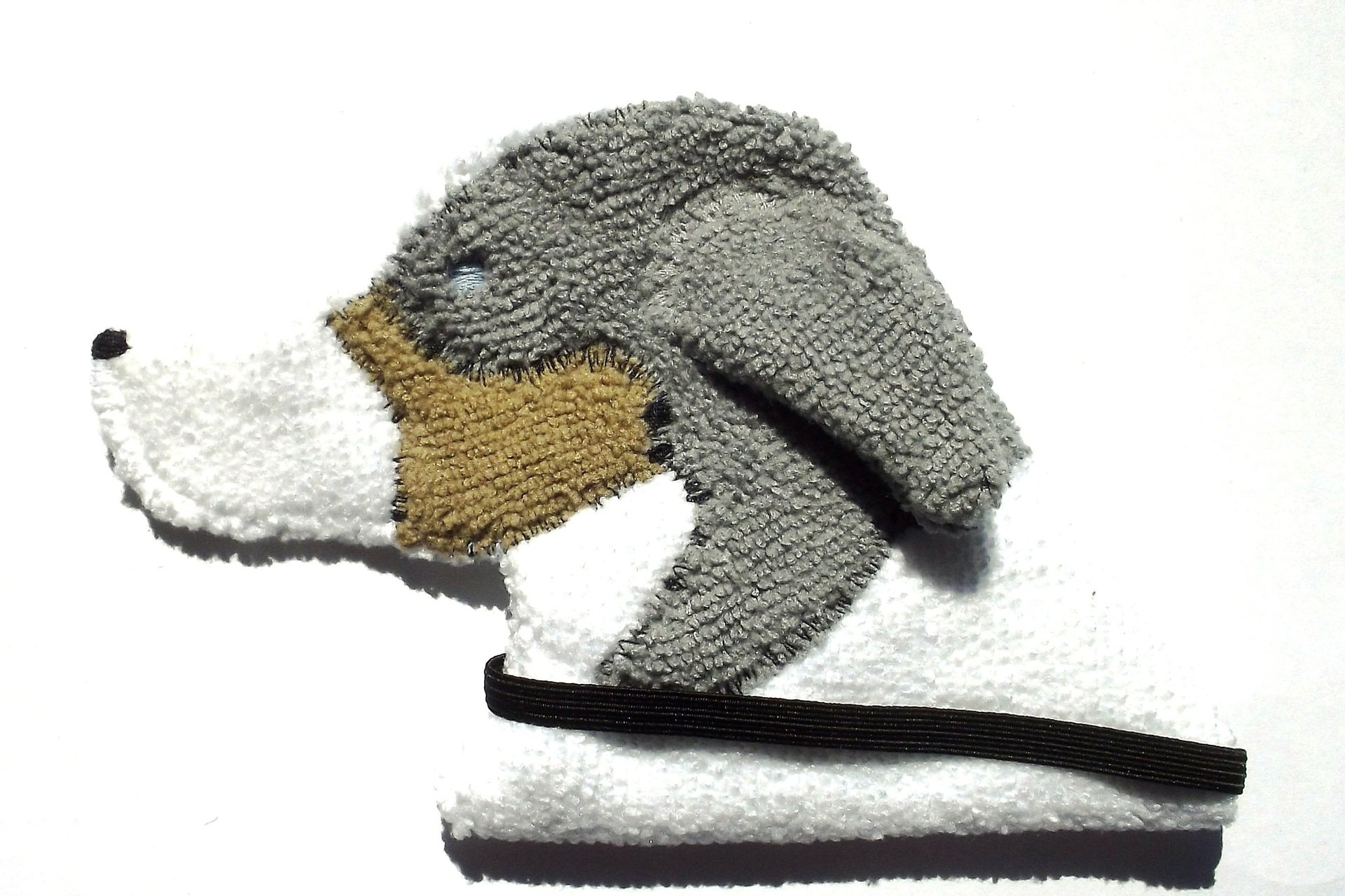 Australian Shepherd shown on a white background.