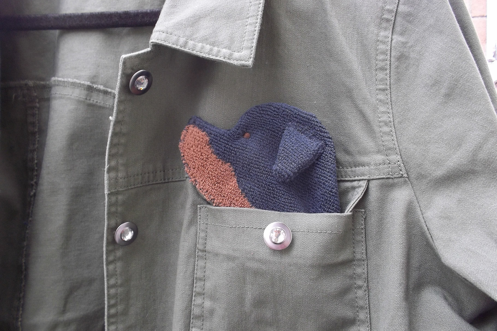 Smudge Dog peeking out of jean jacket pocket