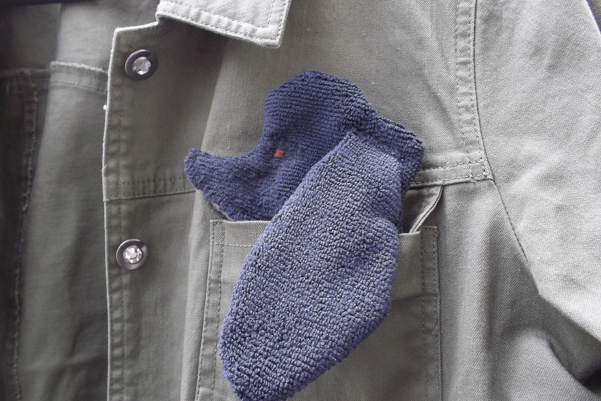 Smudge Dog peeking out of a pocket of a jean jacket.