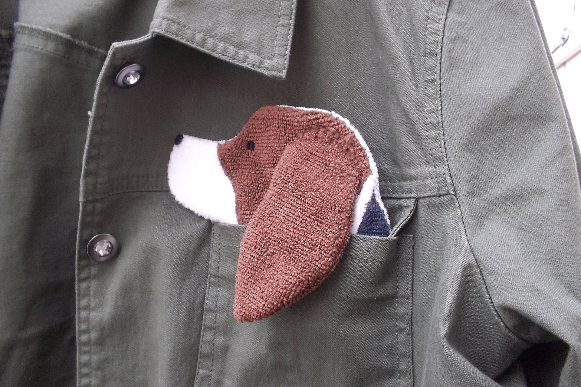 Smudge Dog shown peeking out of a jean jacket.