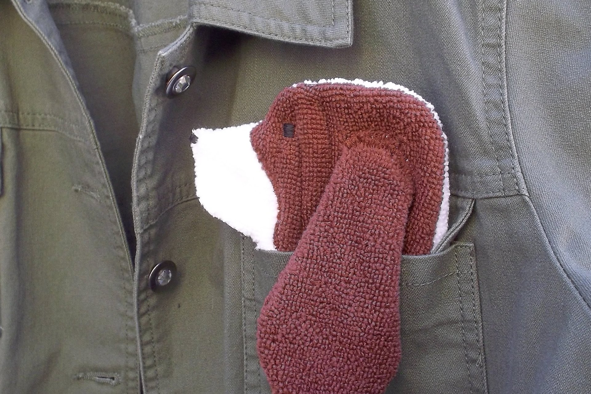 Dog shaped cloth peeking out of a jean jacket pocket.