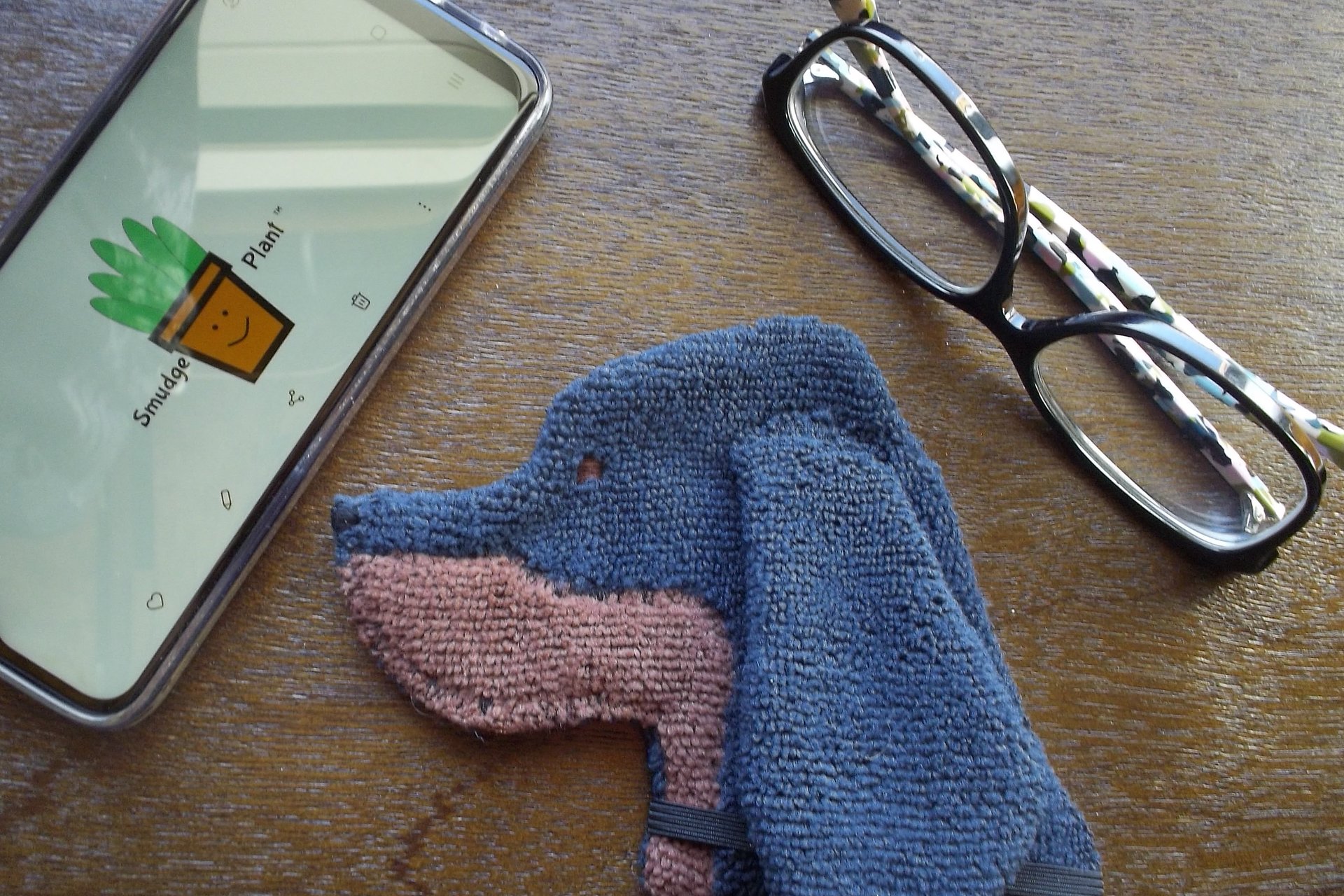 Smudge Dog with glasses and smart phone, two of the items it can clean.