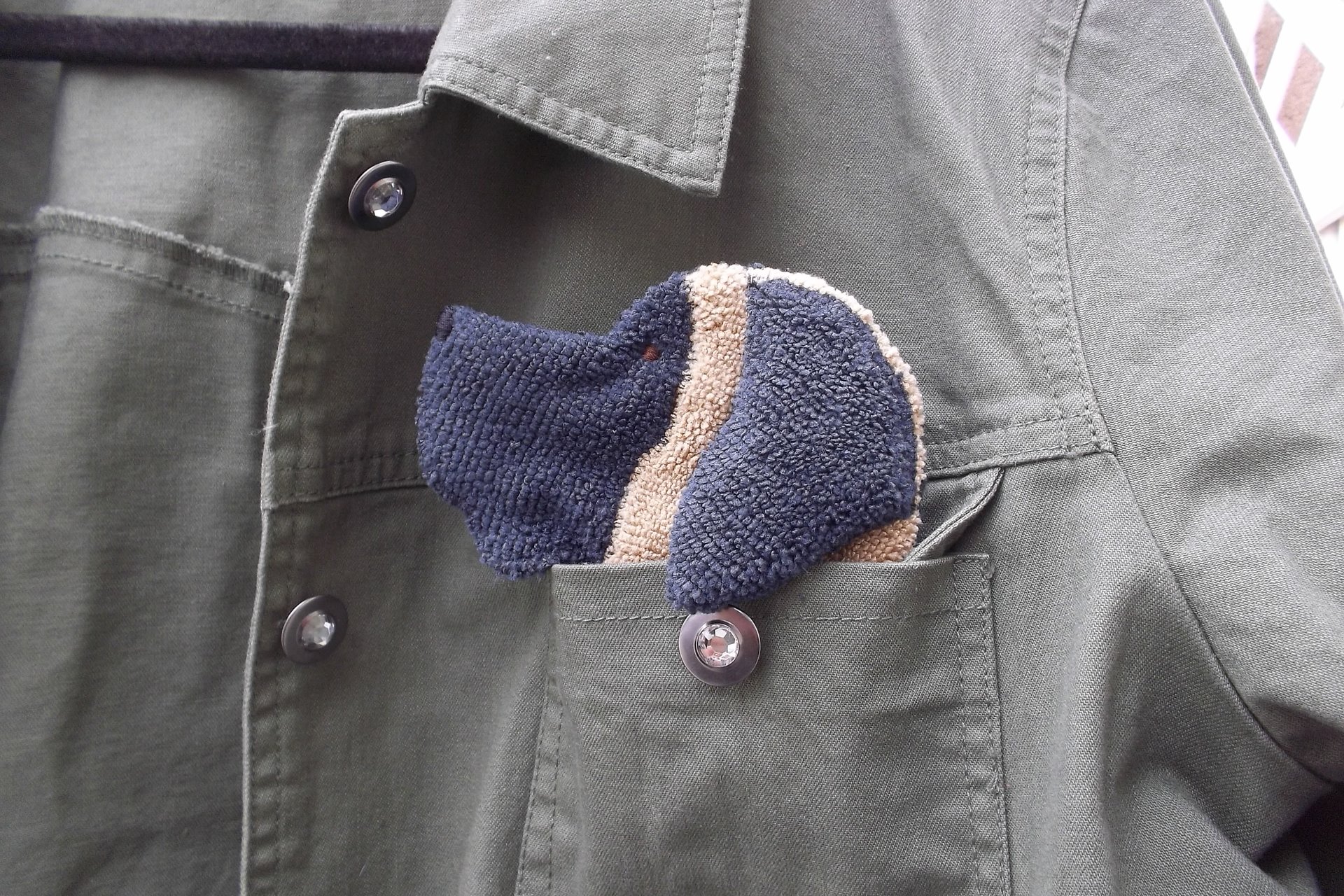 Smudge Dog peeking out of jean jacket pocket