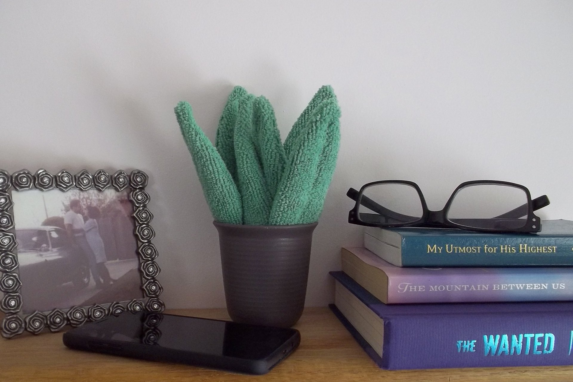 Smudge Plant Scene