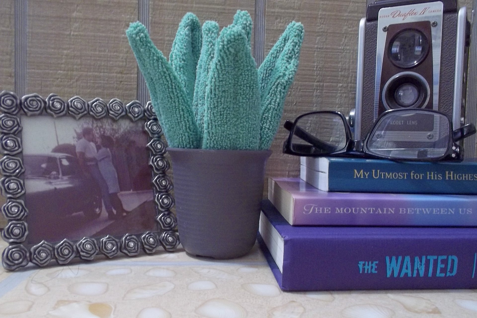 Smudge Plant Scene