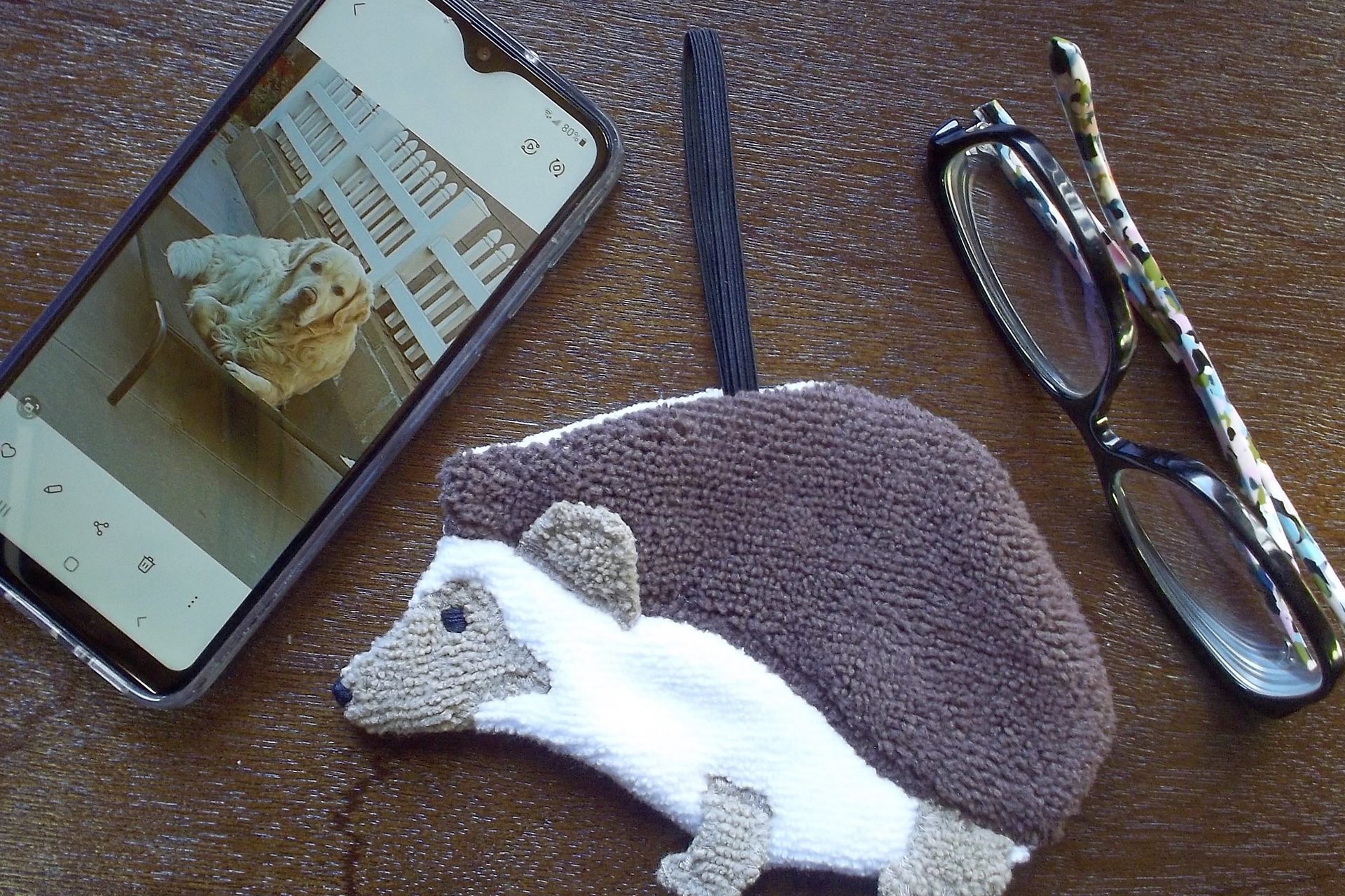 Smudge Pet: Hedgehog Covert Cleaning Cloth