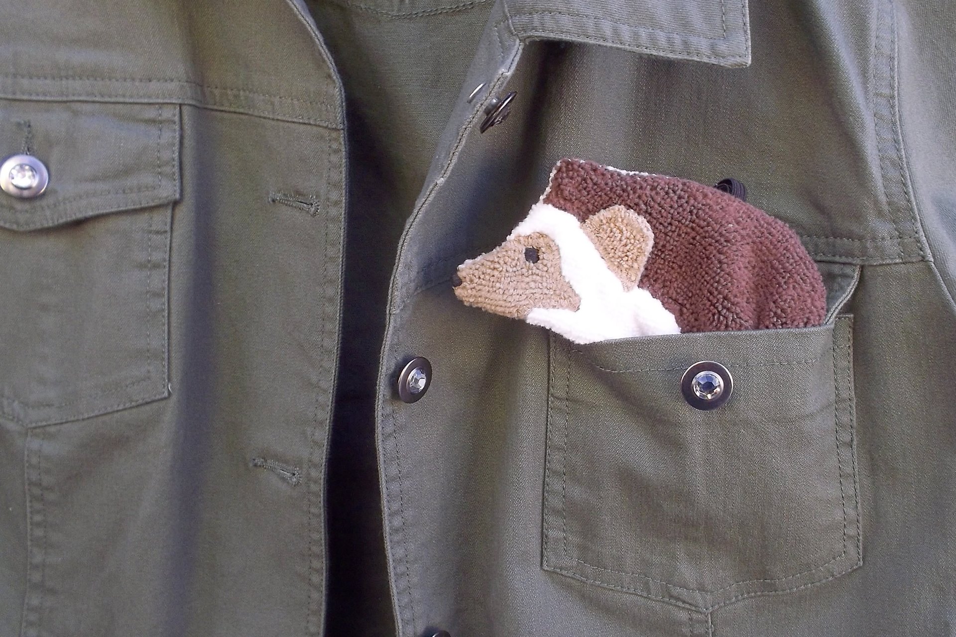 Smudge Pet: Hedgehog Covert Cleaning Cloth