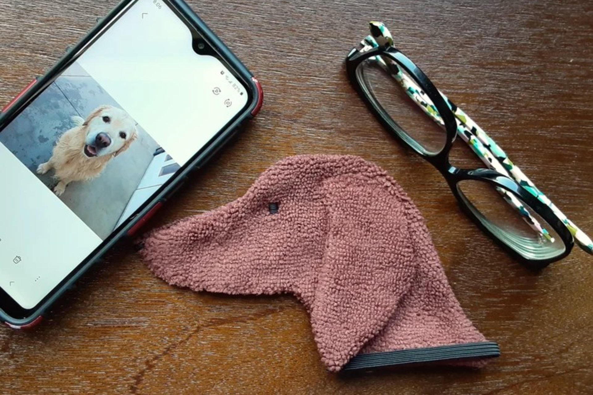 Smudge Dog with smart phone and glasses.