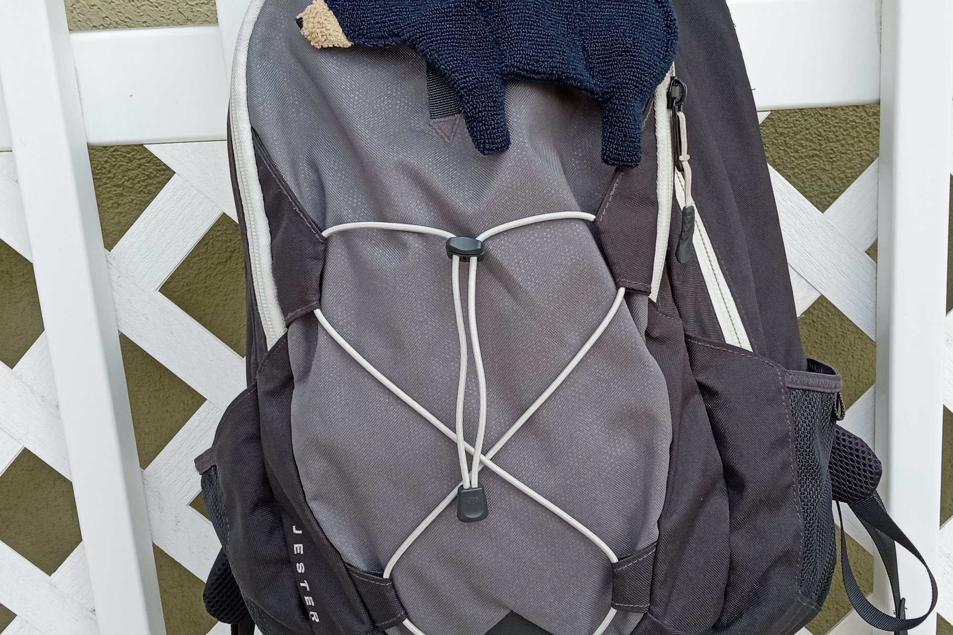 Smudge Bear attached to a backpack.
