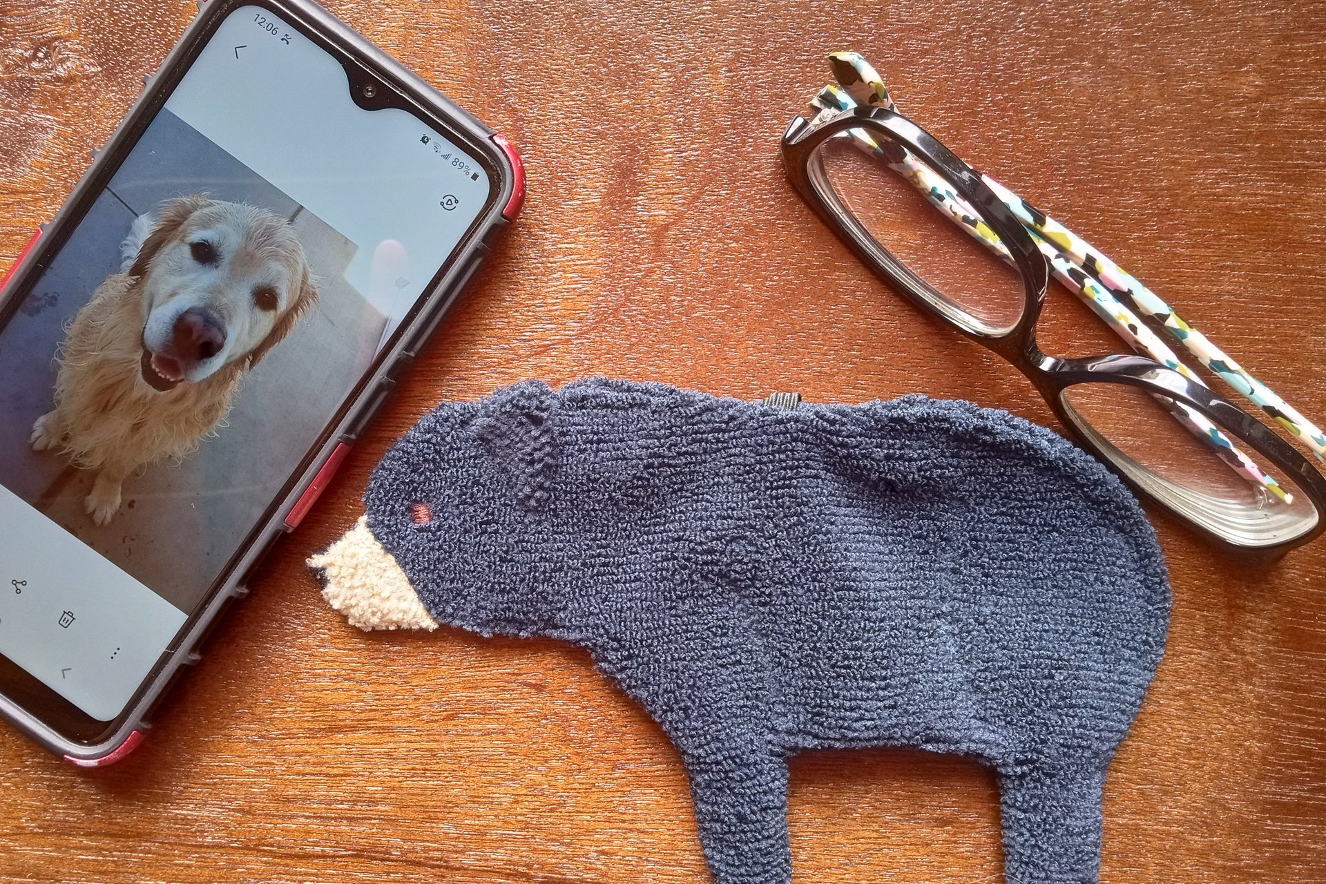 Smudge Bear with phone and glasses. Two of the items it can clean