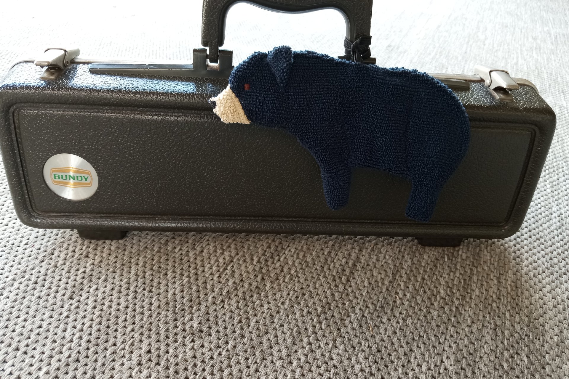 Smudge Bear attached to musical instrument case.