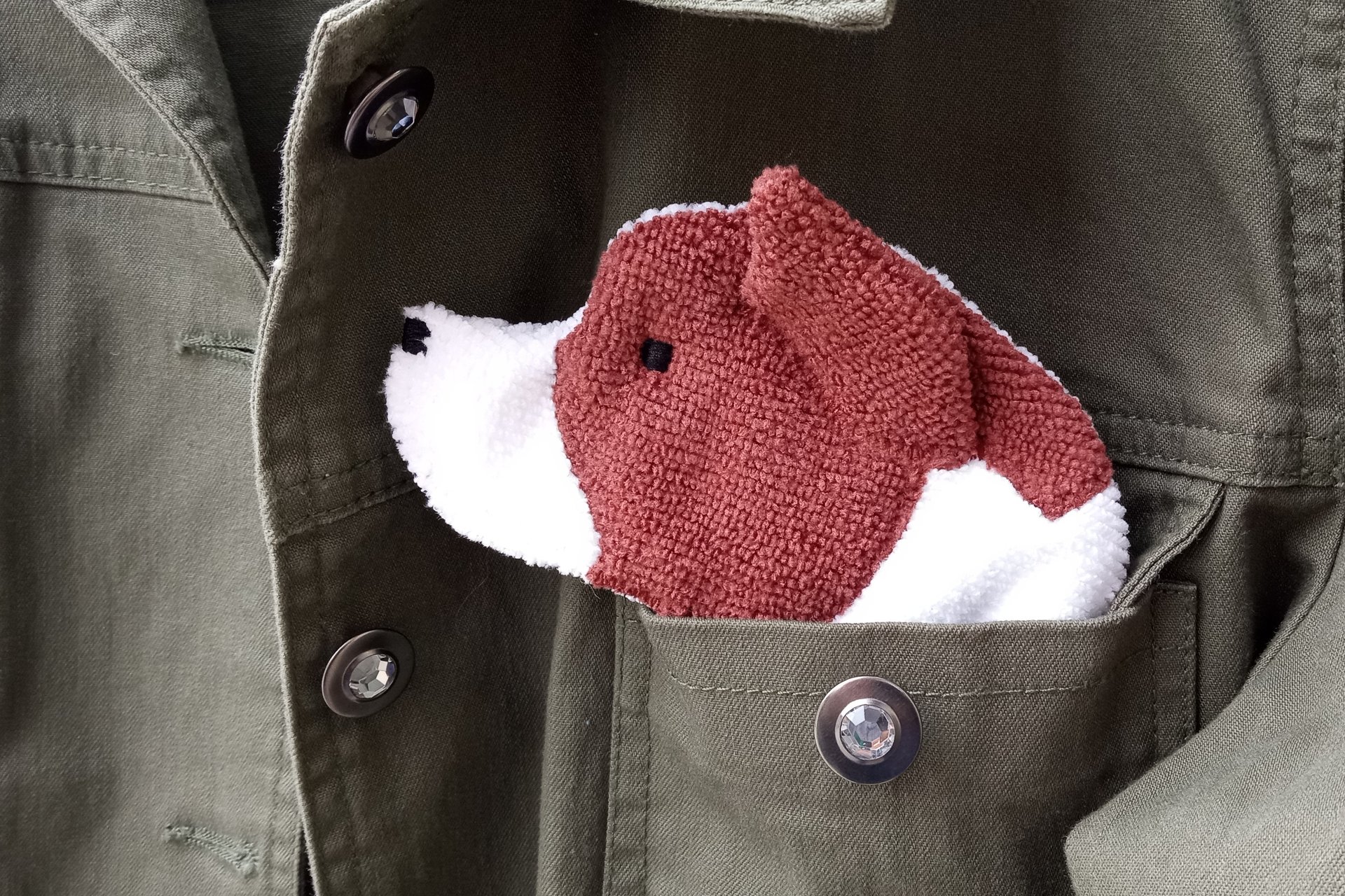 Smudge Dog peeking out of the pocket of a jean jacket.
