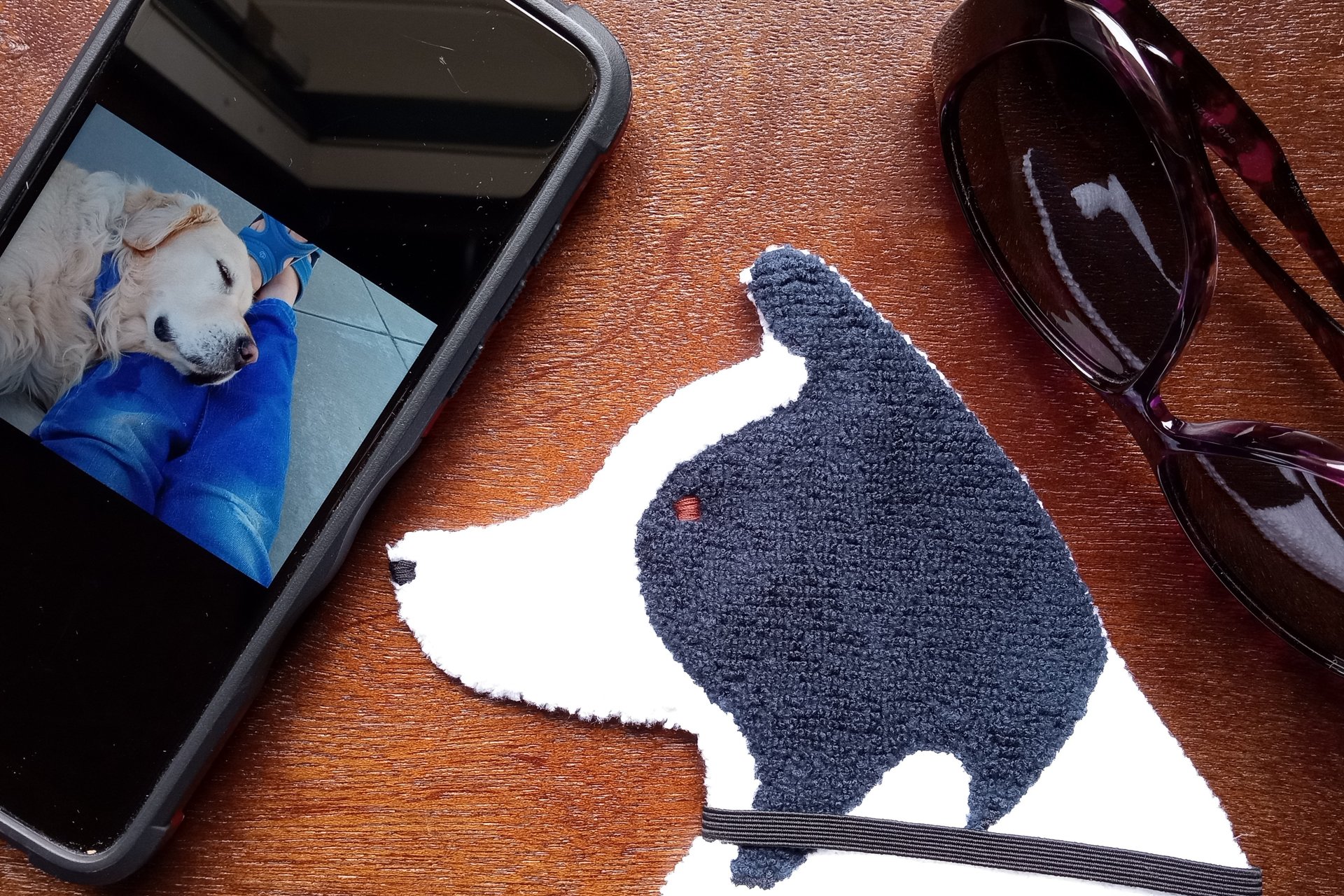 Smudge Dog with smart phone and glasses.