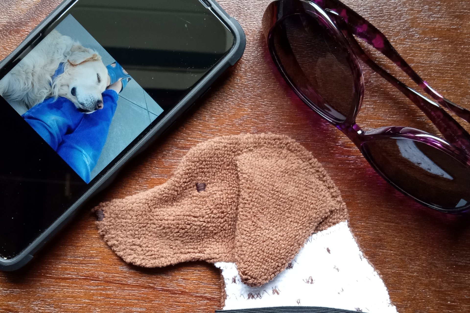 Smudge Dog with smart phone and glasses.