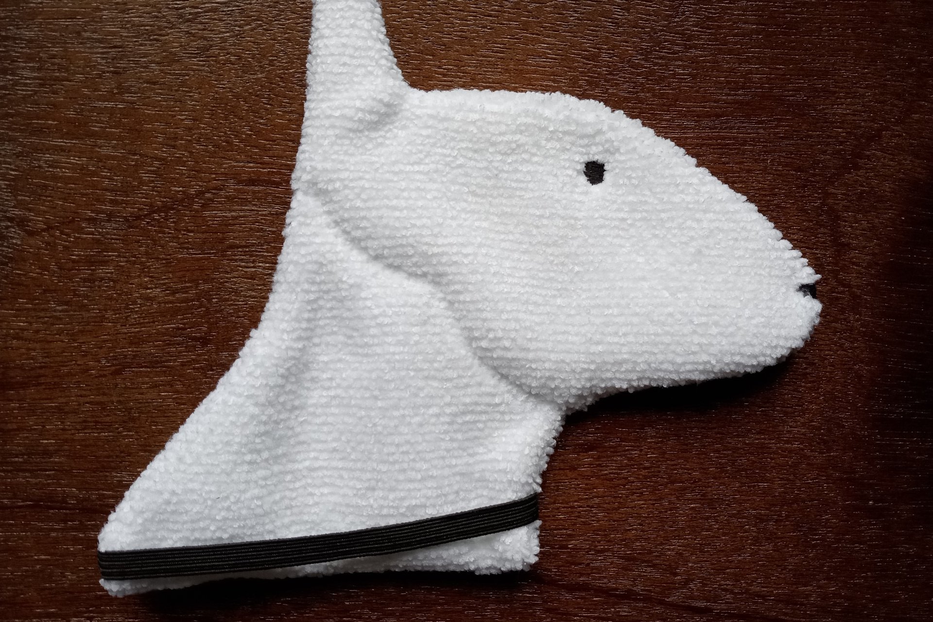 Back side of the Bull Terrier.