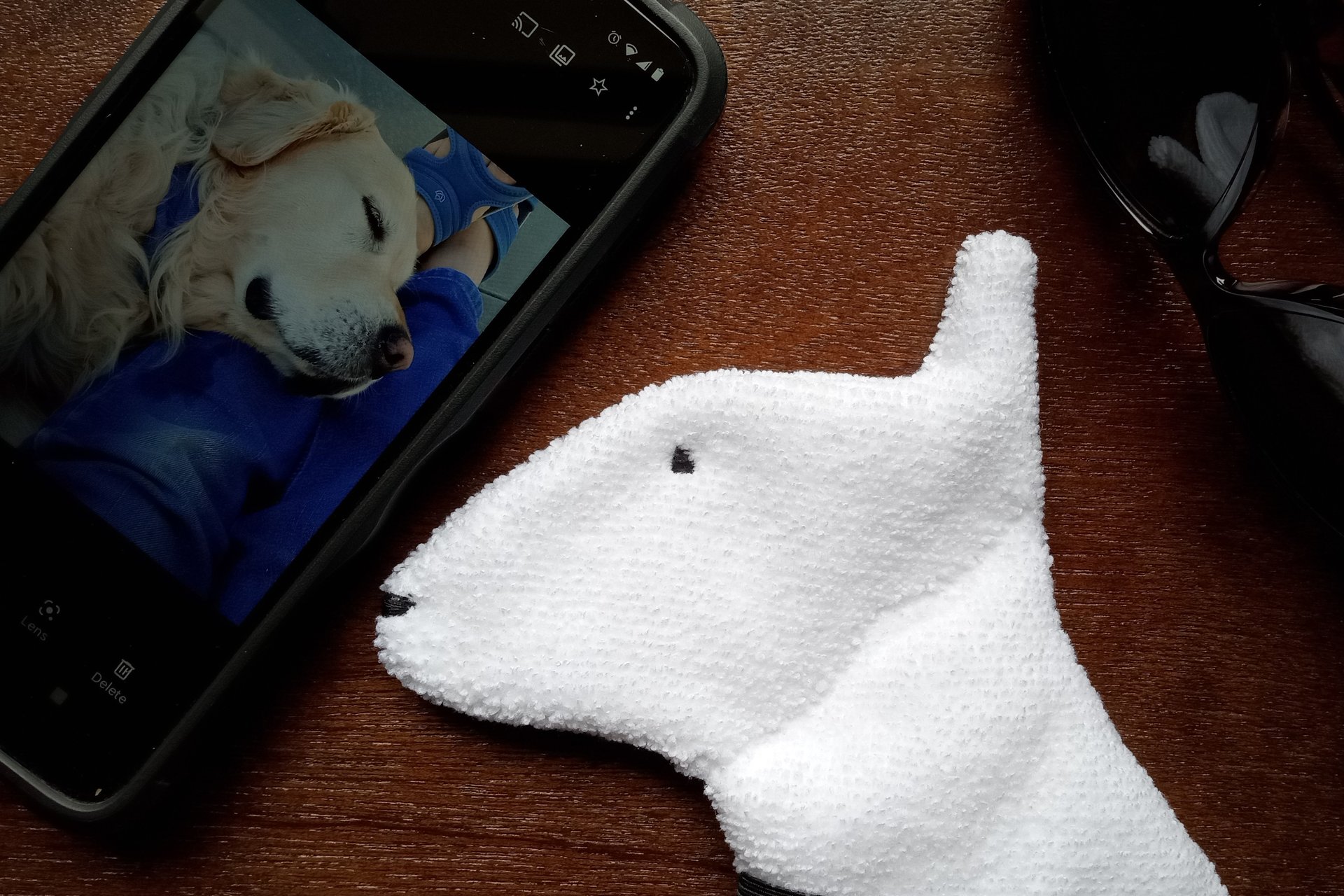 Smudge Dog with smart phone and glasses.