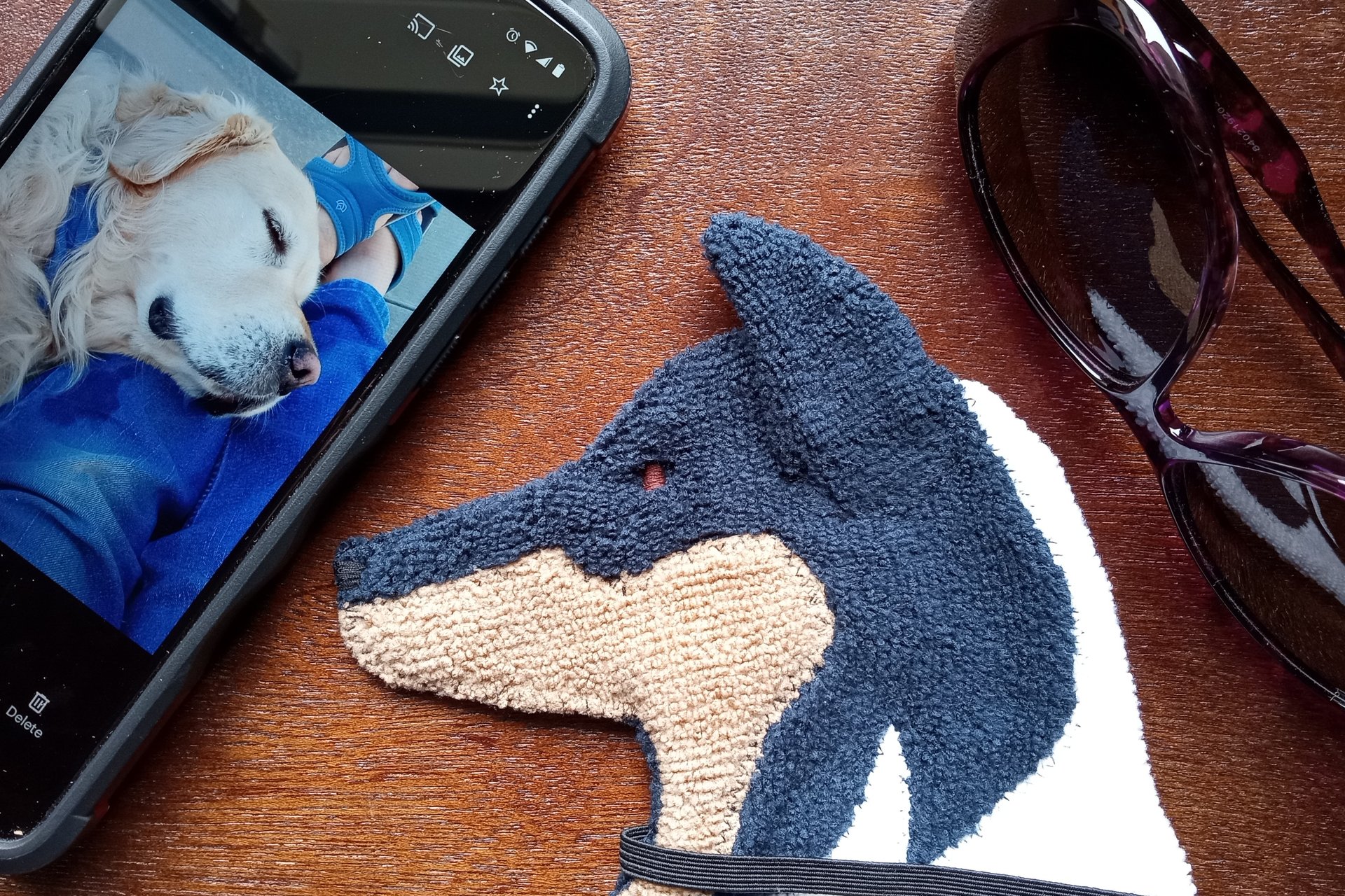 Smudge Dog with smart phone and glasses.