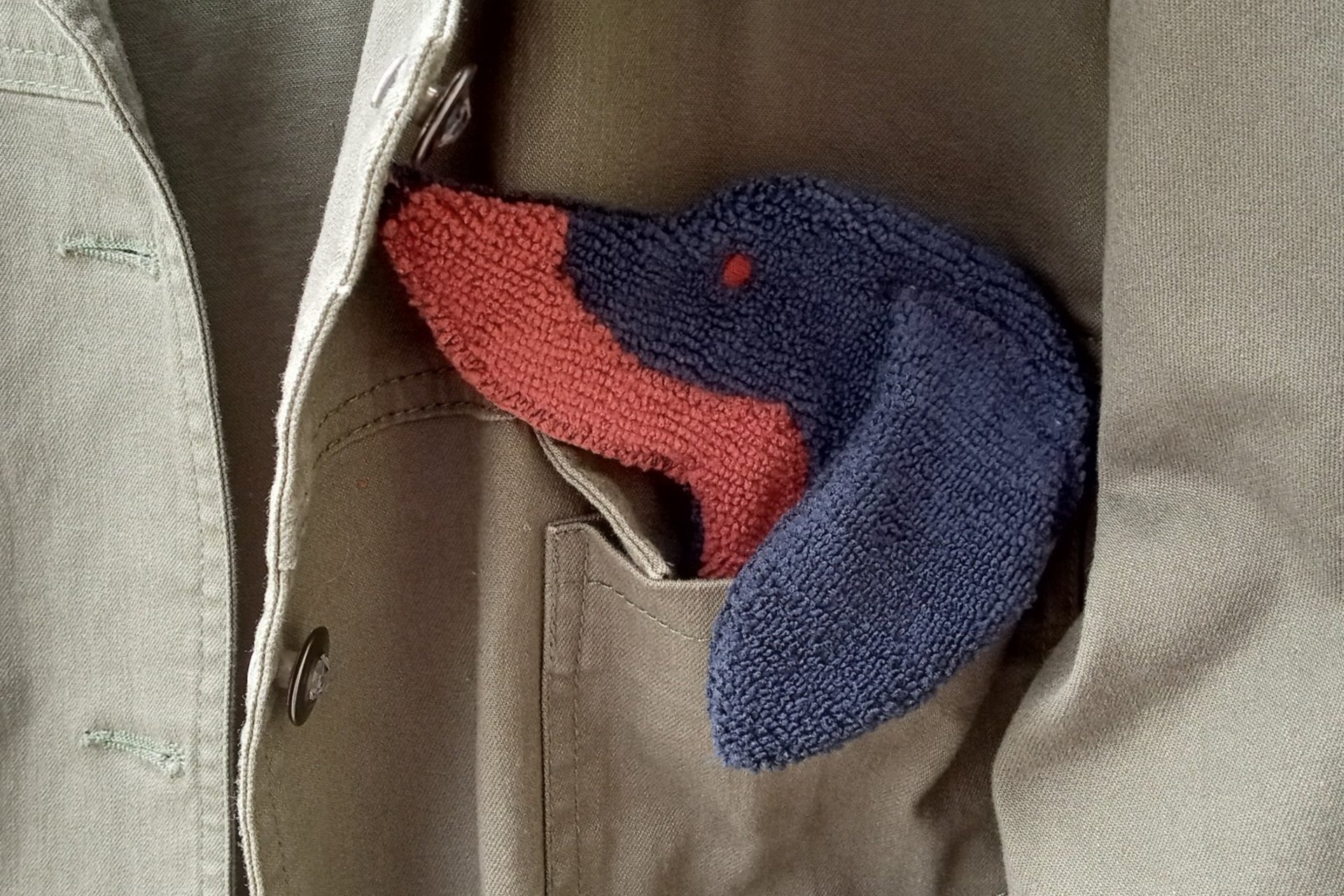 Smudge dog peeking out of a pocket of a jean jacket