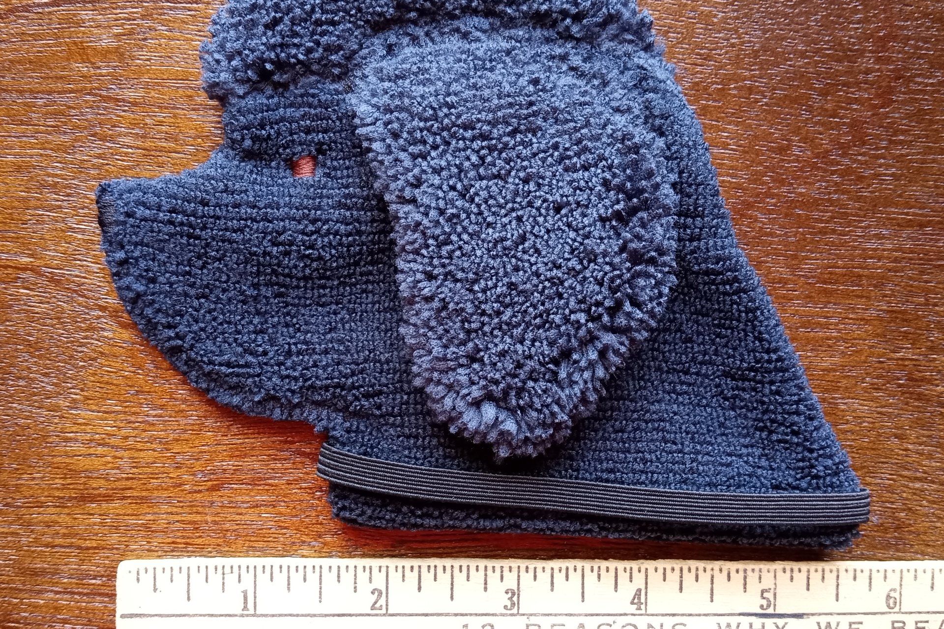 Smudge Dog with ruler to show size.