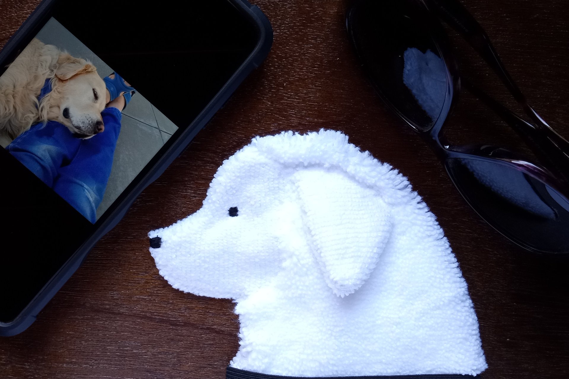Smudge Dog with smart phone and glasses.