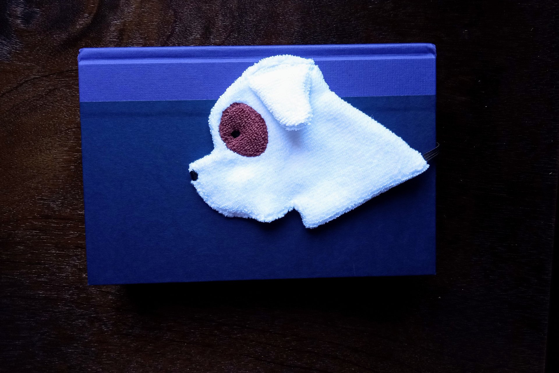Smudge Dog used as bookmark.