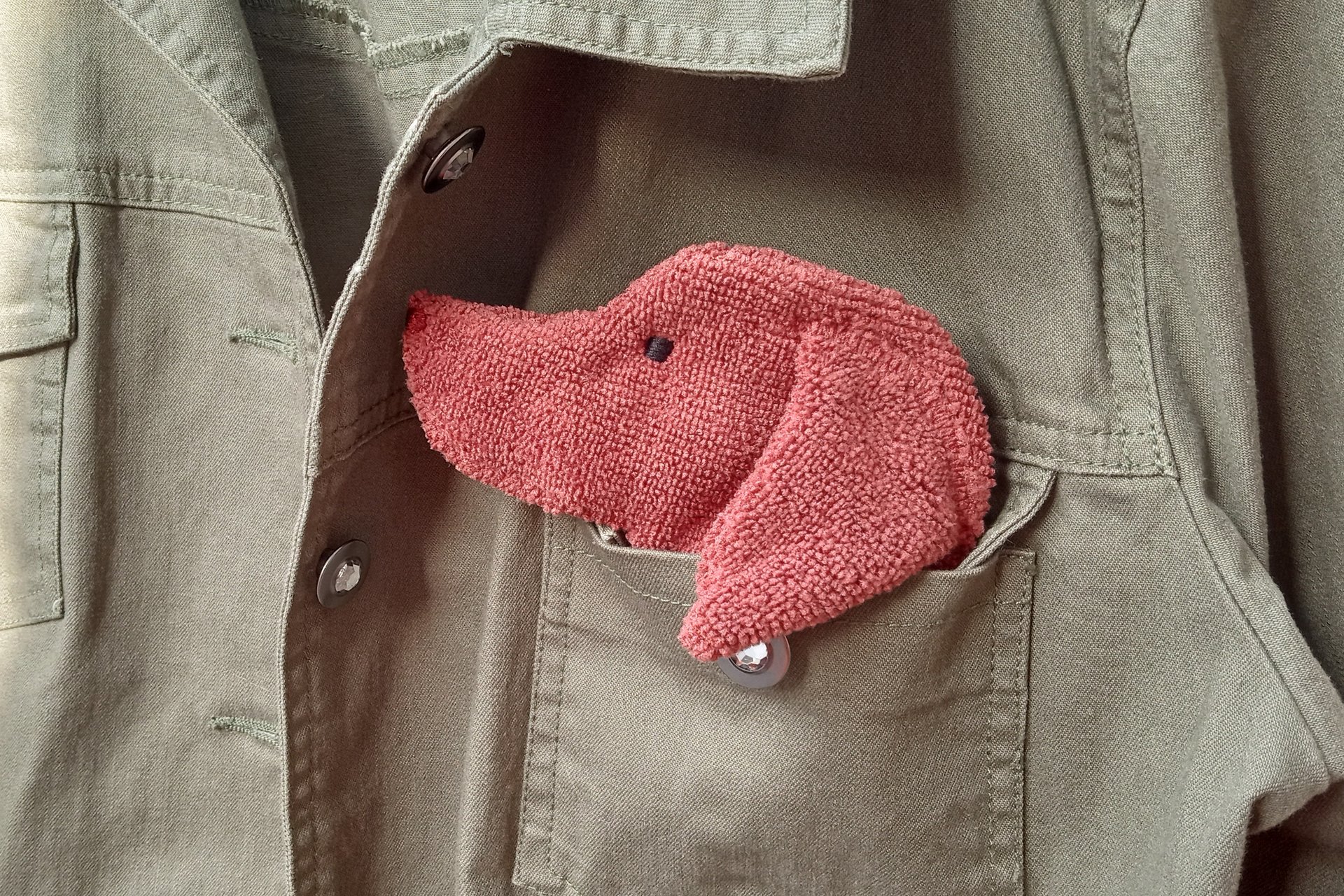Smudge Dog peeking out of jean jacket pocket