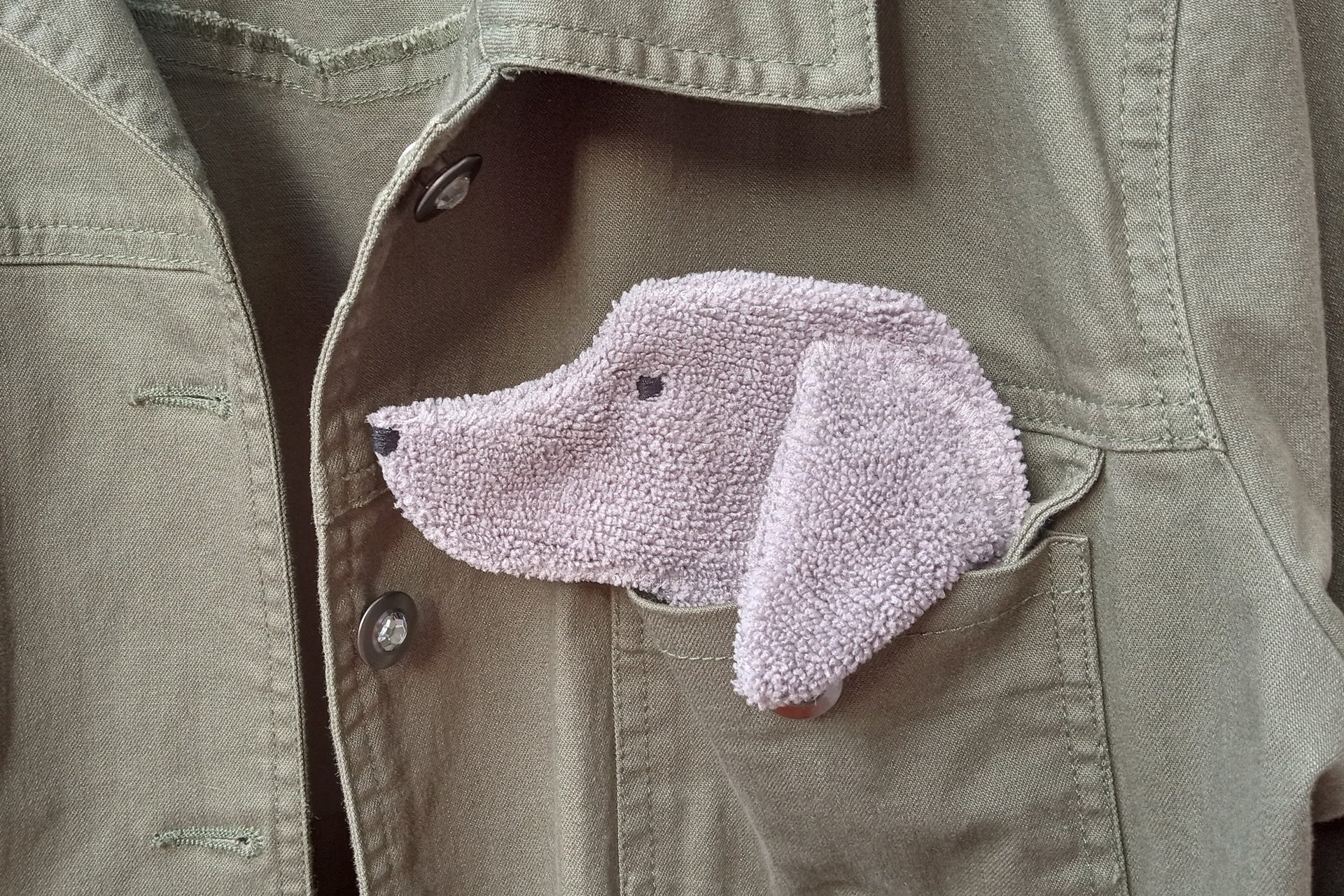 Smudge dog peeking out of the pocket of a jean jacket