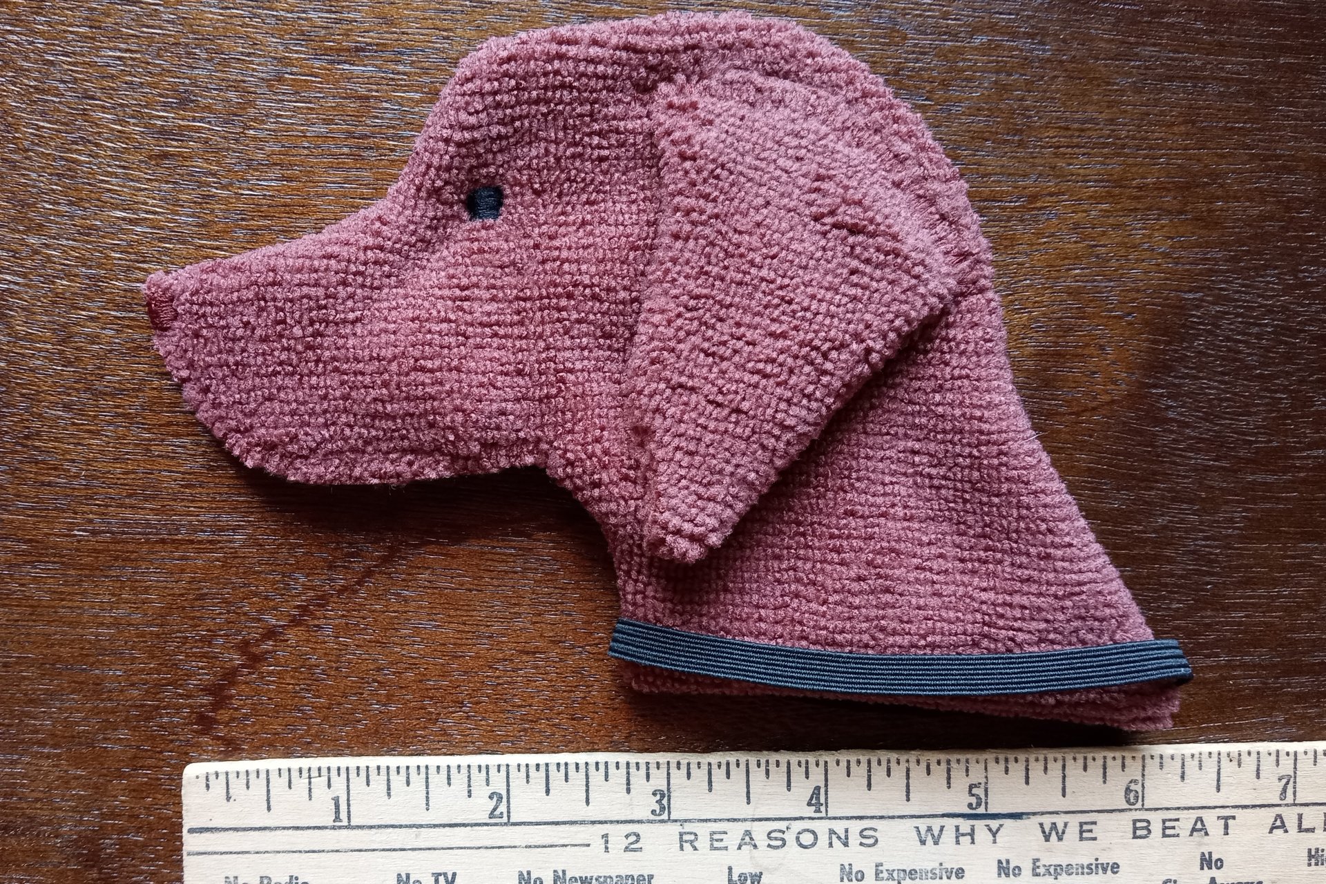 Smudge Dog with ruler to show size.