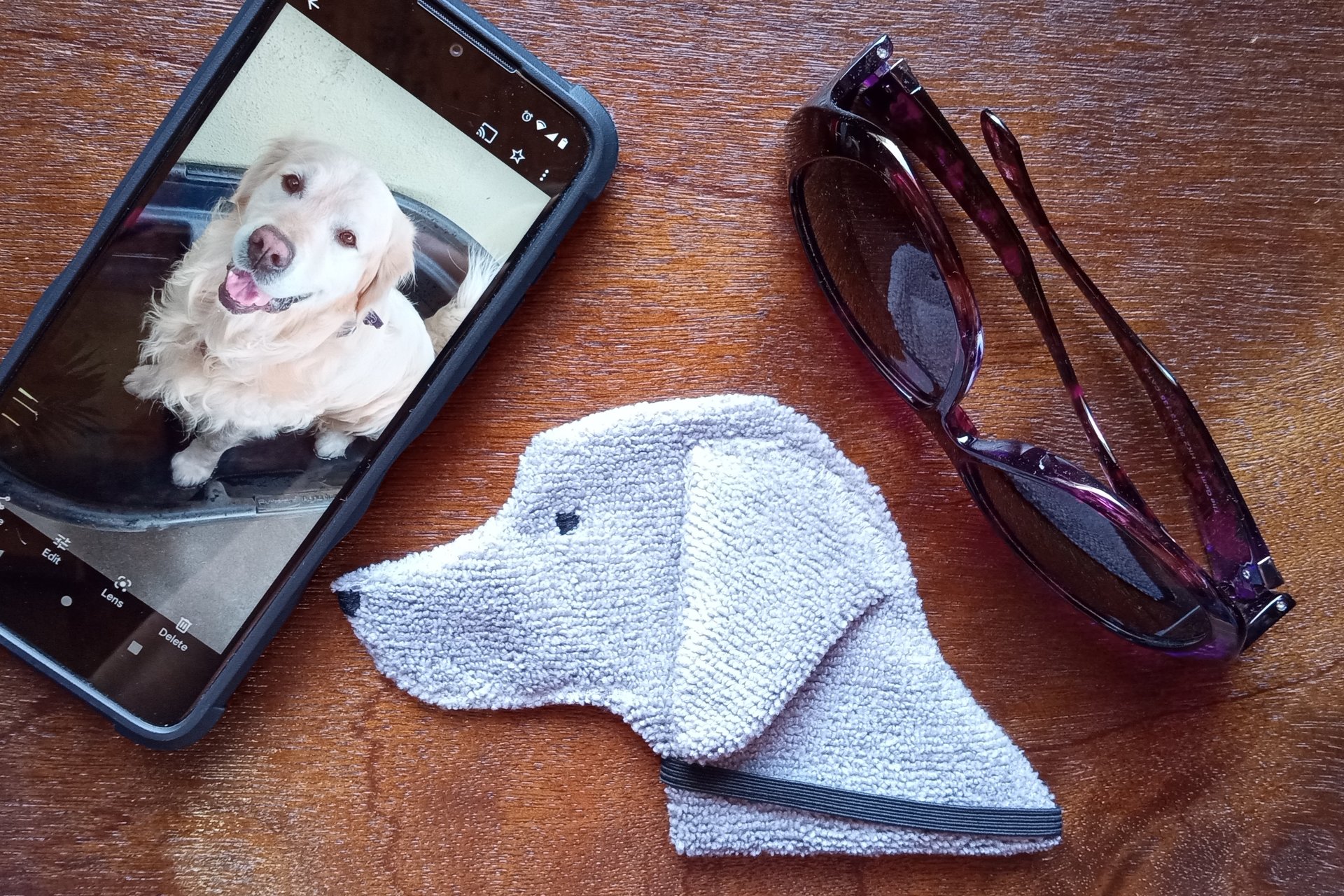 Smudge Dog with smart phone and glasses.