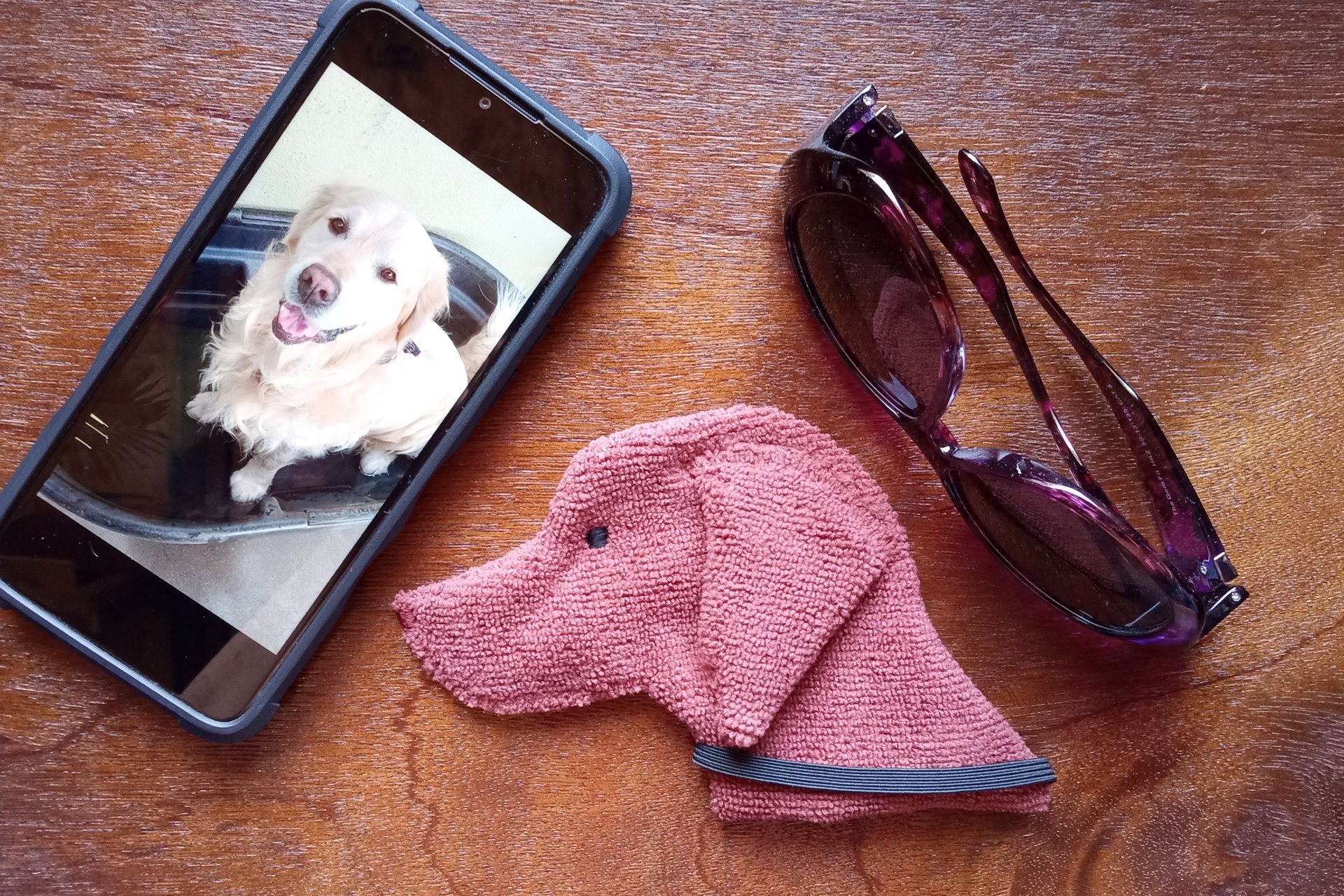 Smudge Dog with smart phone and glasses.